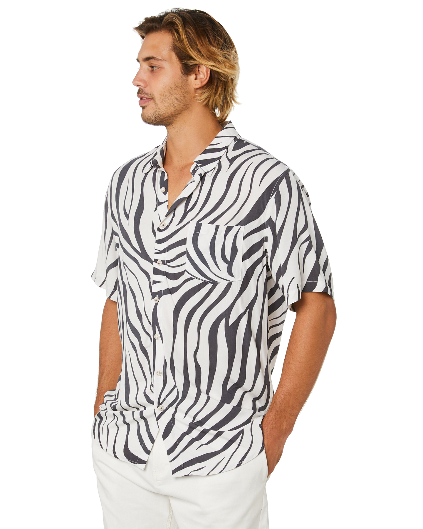 zebra shirt