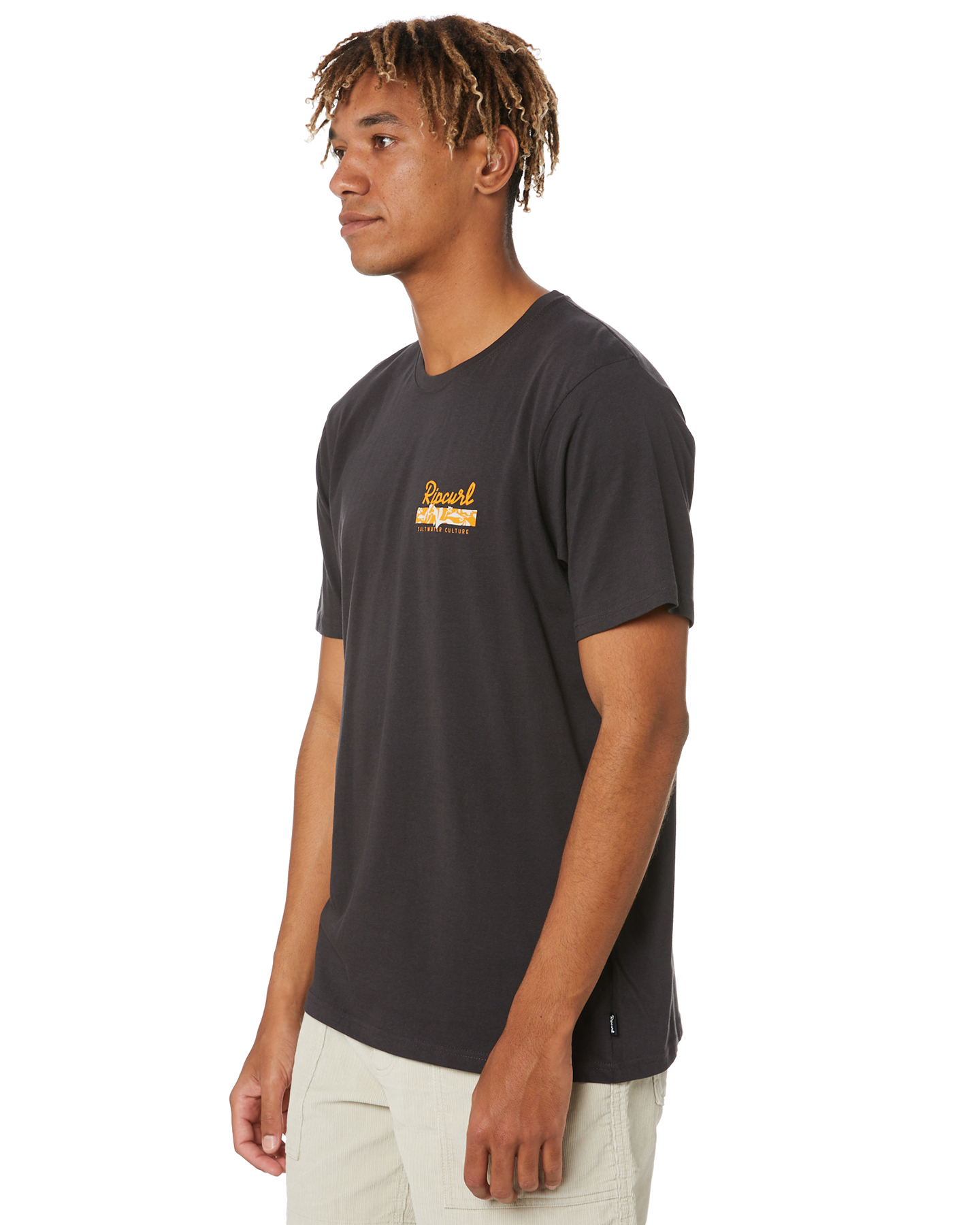 Rip Curl Swc Stripe Mens Tee - Washed Black | SurfStitch