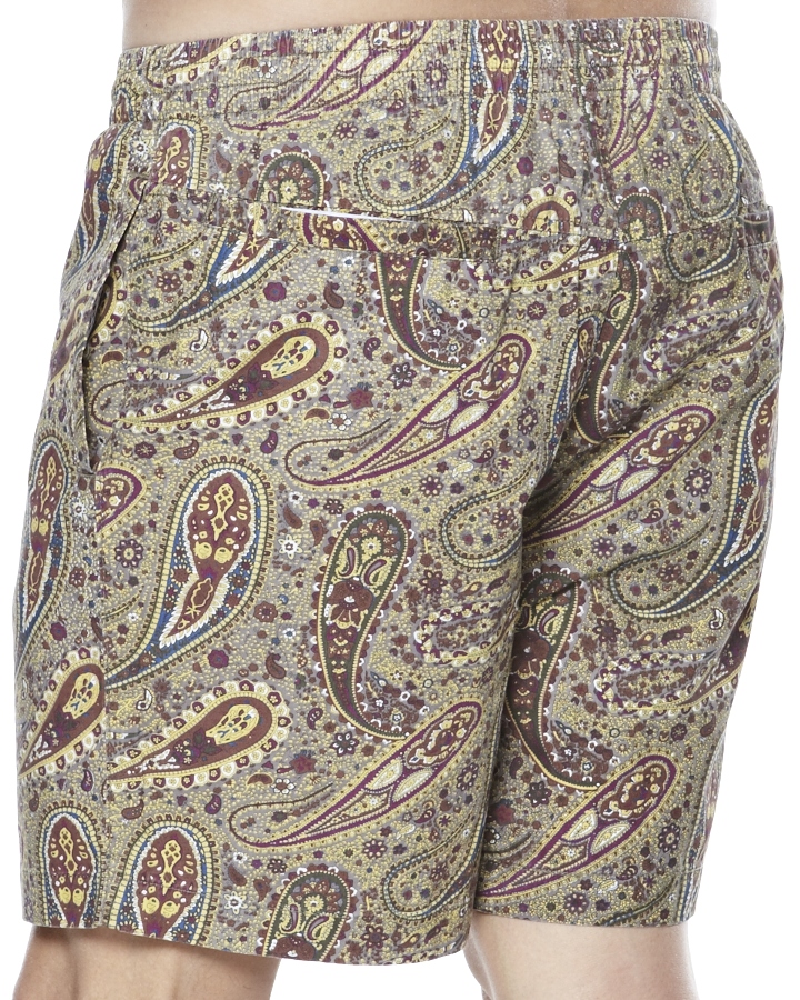 Stussy Paisley Beach Short - Vintage Brown | SurfStitch