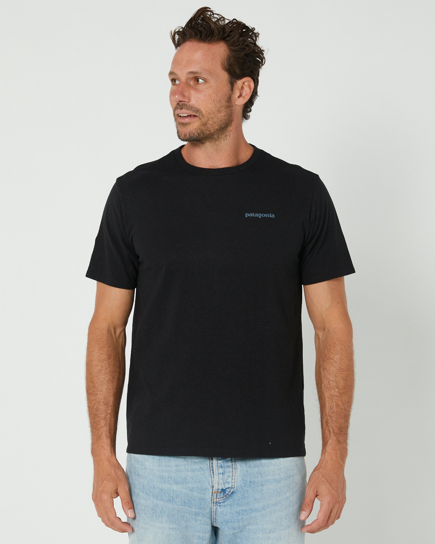 Patagonia fitz roy van t shirt new arrivals