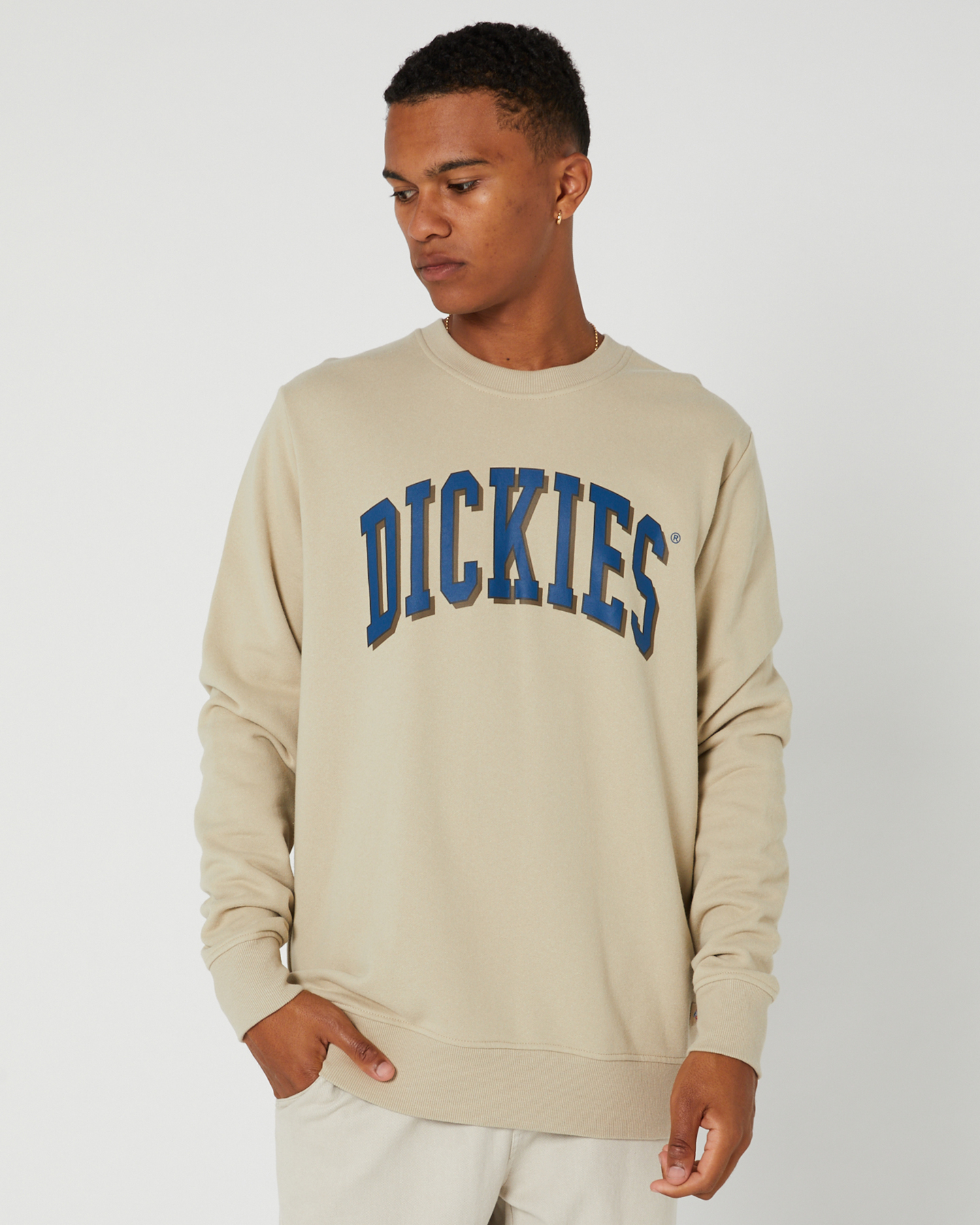 lærling etnisk Afgift Dickies Longview Crew Neck Sweater - Desert Sand | SurfStitch