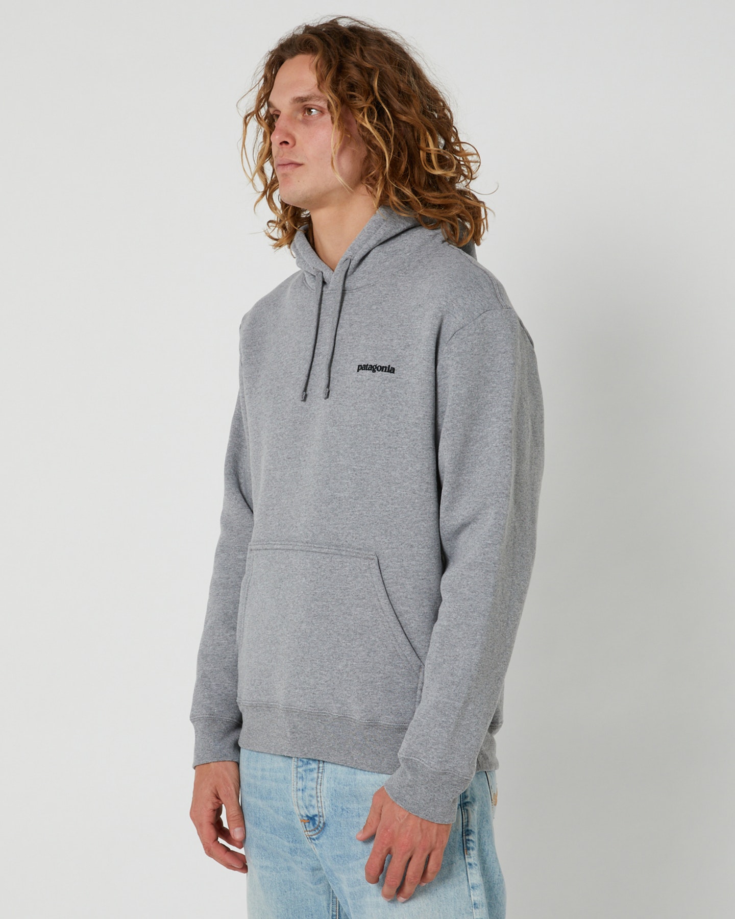 Patagonia grey store hoodie