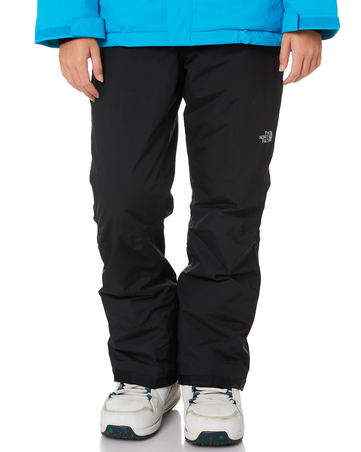 the north face snowboard pants