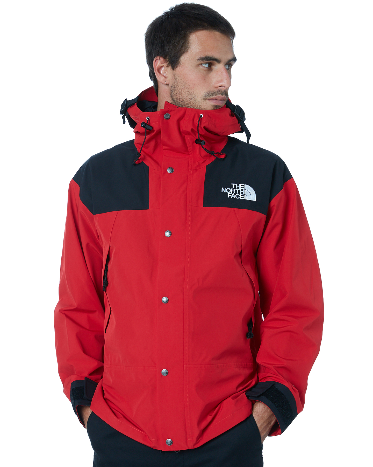 the north face 1990 mountain jacket
