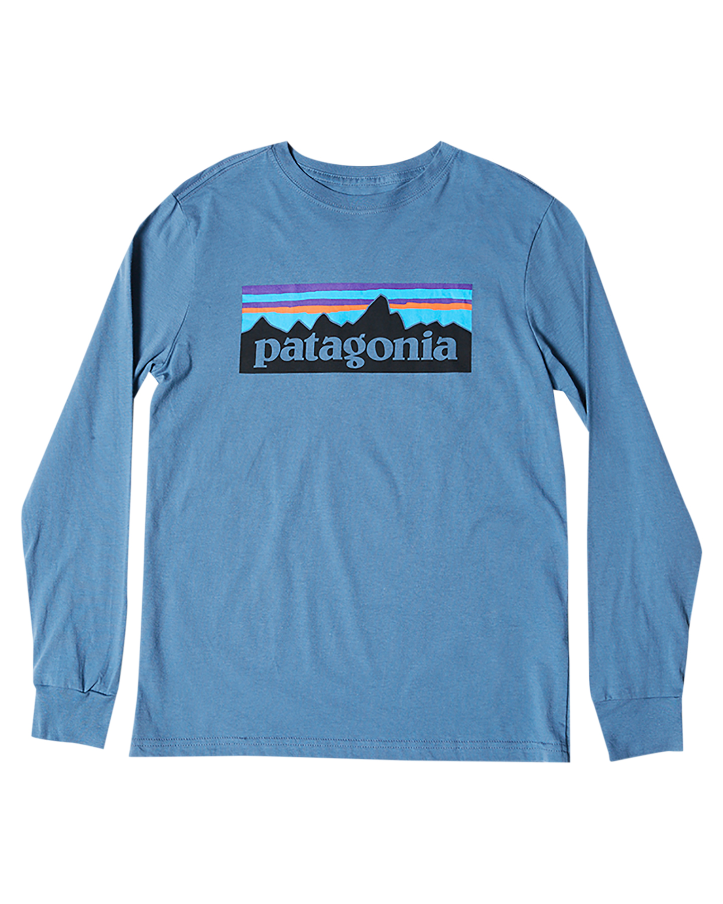 Patagonia Boys Ls Graphic Organic TShirt Teen Pigeo