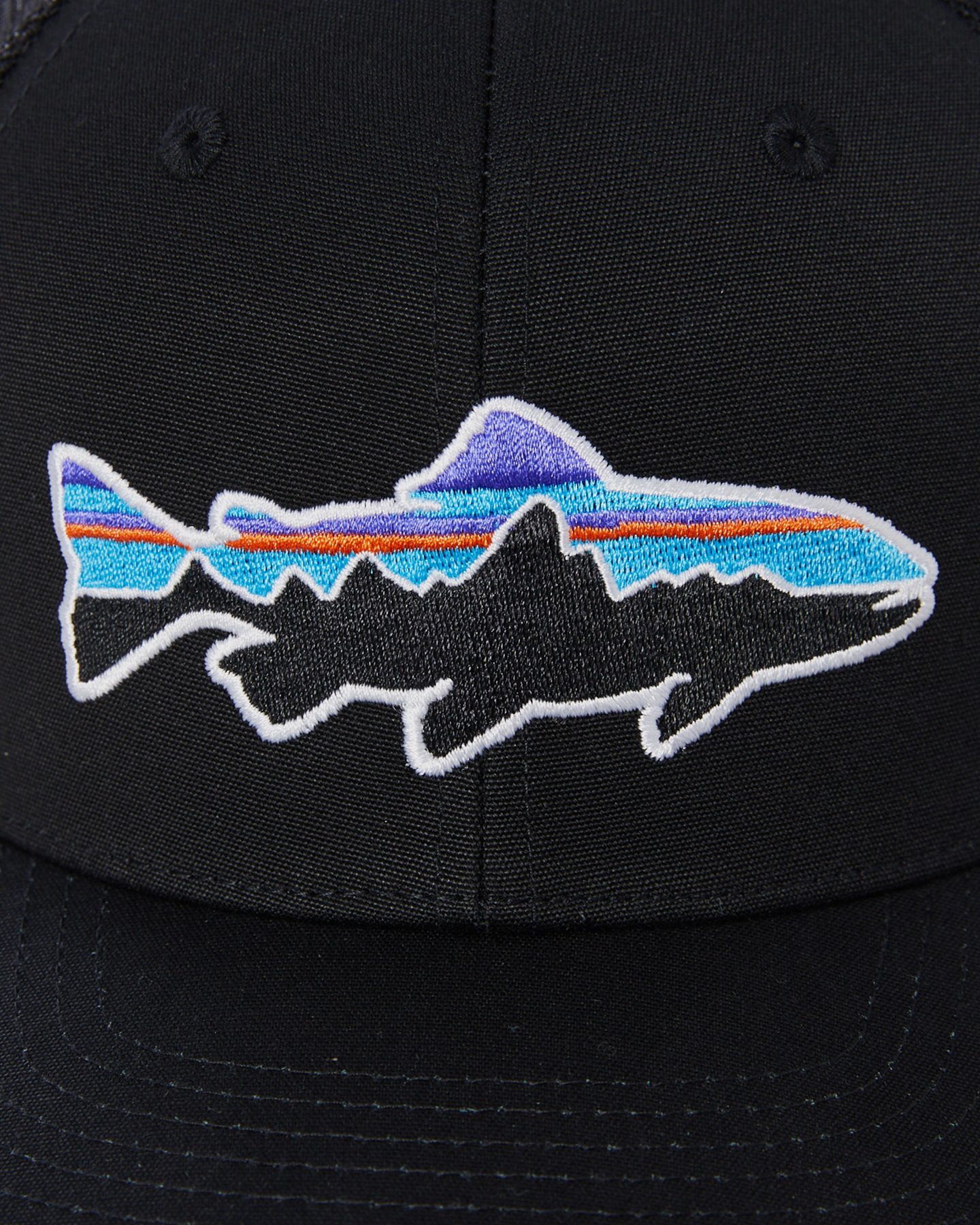 Patagonia fitz roy top trout stretch fit hat